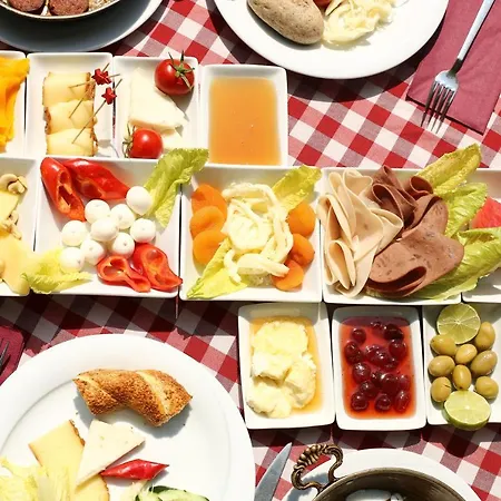 Park Polonezkoey Ξενοδοχείο Κωνσταντινούπολη