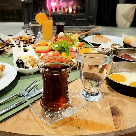 Park Polonezkoey Istanbulská provincie