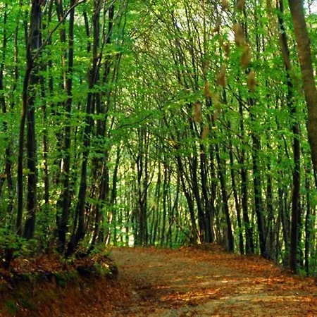 Park Polonezkoey Istanbulská provincie
