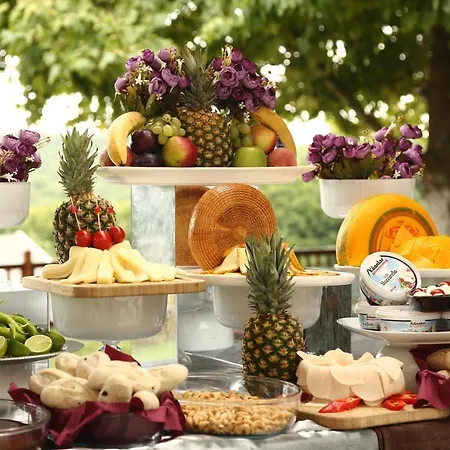 Park Polonezkoey Istanbulská provincie