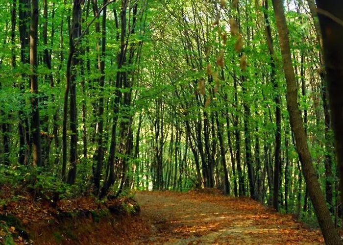 Park Polonezkoey اسطنبول