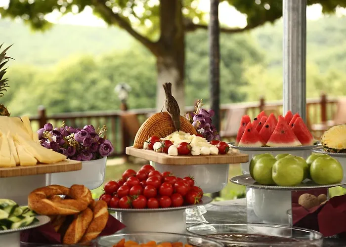 فندق Park Polonezkoey اسطنبول